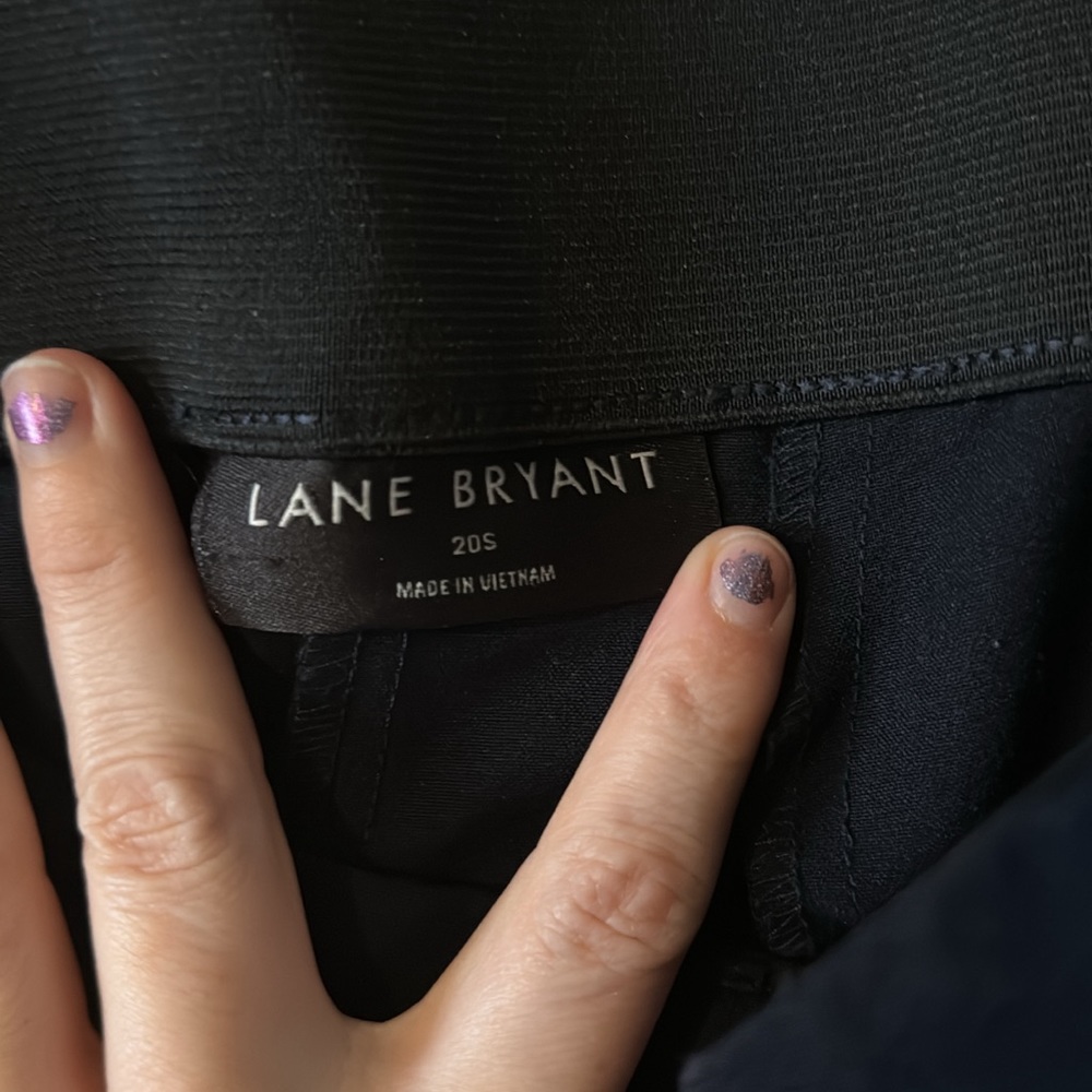 Lame Bryant Wide Leg Women’s Slacks 20s